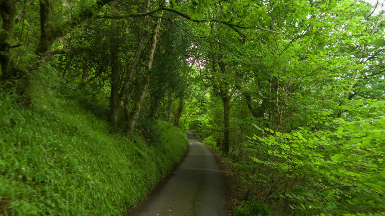unidad forestal dji 4k 00