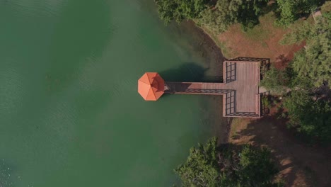 Birds-eye-view-of-canopy-in-Lake-water