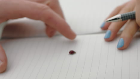 cerca el escarabajo de la mariquita macro arrastrándose en las manos de la página jugando con el insecto mariquita