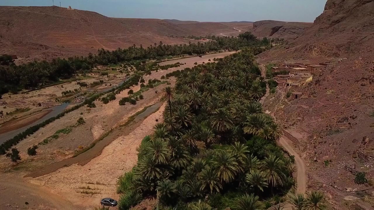 Riprese aeree cinematografiche con drone di una fitta oasi di palme che si estende lungo una valle fluviale a Ouarzazate, Marocco. Forti motivi naturali e contrasto tra vegetazione verde e paesaggio desertico arido.