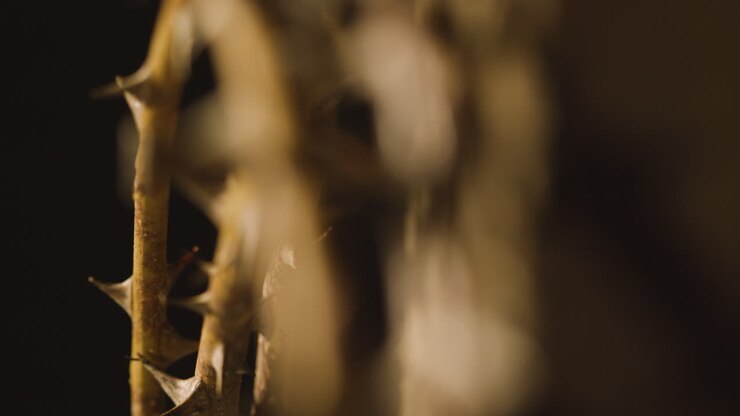 Religious Concept Shot With Close Up Of Crown Of Thorns On Wooden Cross 1