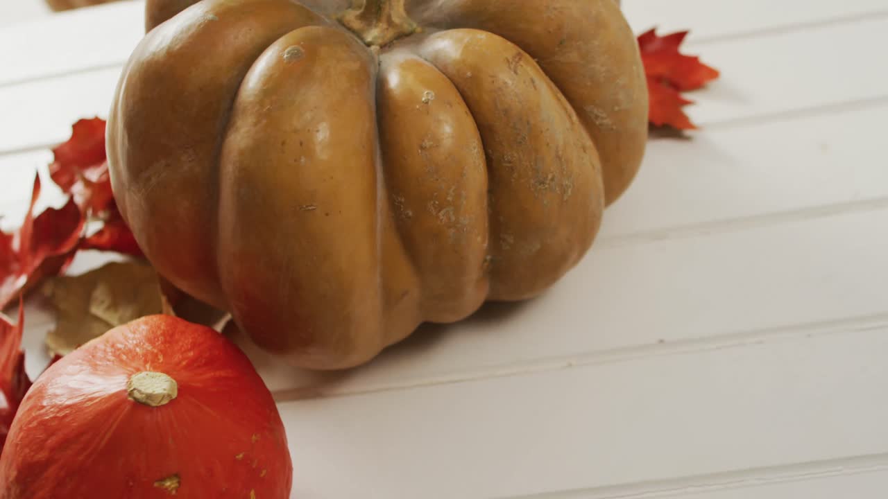 ⁇  배경 에 가을 잎 을 가진 호박 의 비디오