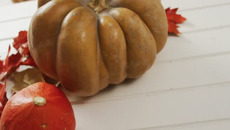 video de calabazas con hojas de otoño sobre un fondo blanco