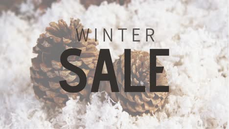 Digitally-generated-video-of-winter-sale-4k