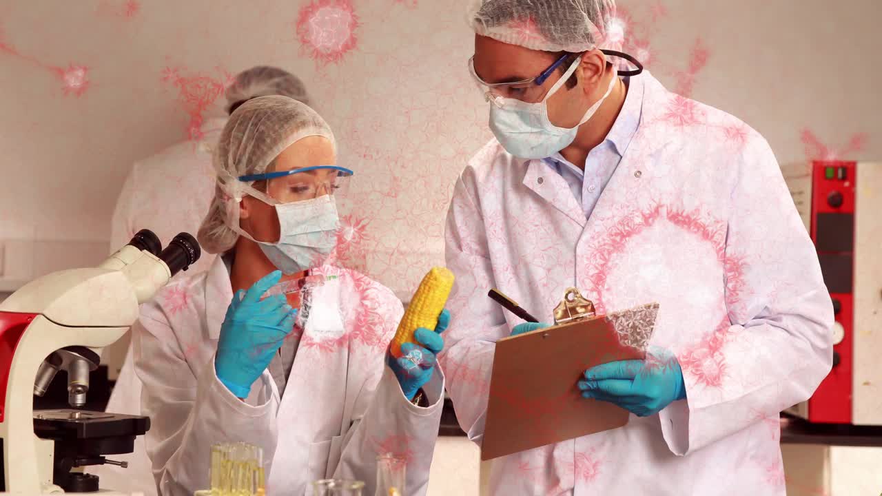 Scientists injecting corn cob with syringe and noting clipboard in lab with virus graphics