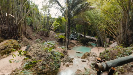 un arroyo que fluye a través de un paisaje de bosque tropical