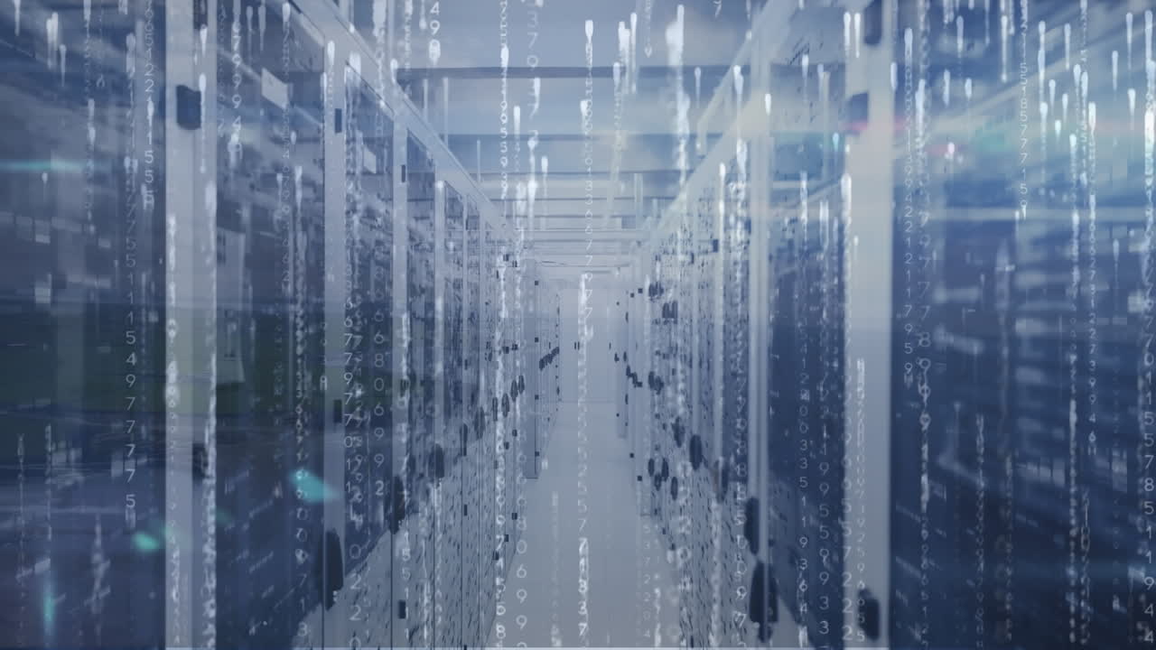 Animation of data processing over computer servers