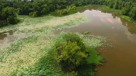 humedal boscoso en el parque de aterrizaje de cook, little rock, arkansas, ee.uu. - toma aérea de un dron