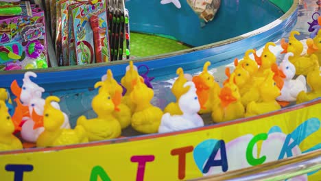 rovigo, italy 30 october 2021: cool rubber duckies running around in arcade hunting game. fairground classic game of rubber ducks hook fishing