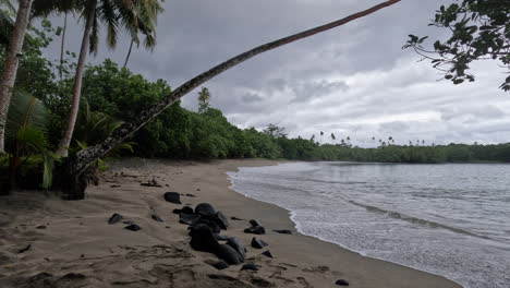 una playa de arena tranquila en un día nublado en samoa