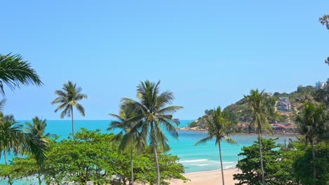 Palm-tree-tops-swaying-on-a-tropical-sandy-beach-of-exotic-island-in-Philippines-on-sunny-day