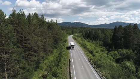 truck on a scenic mountain road through a forest