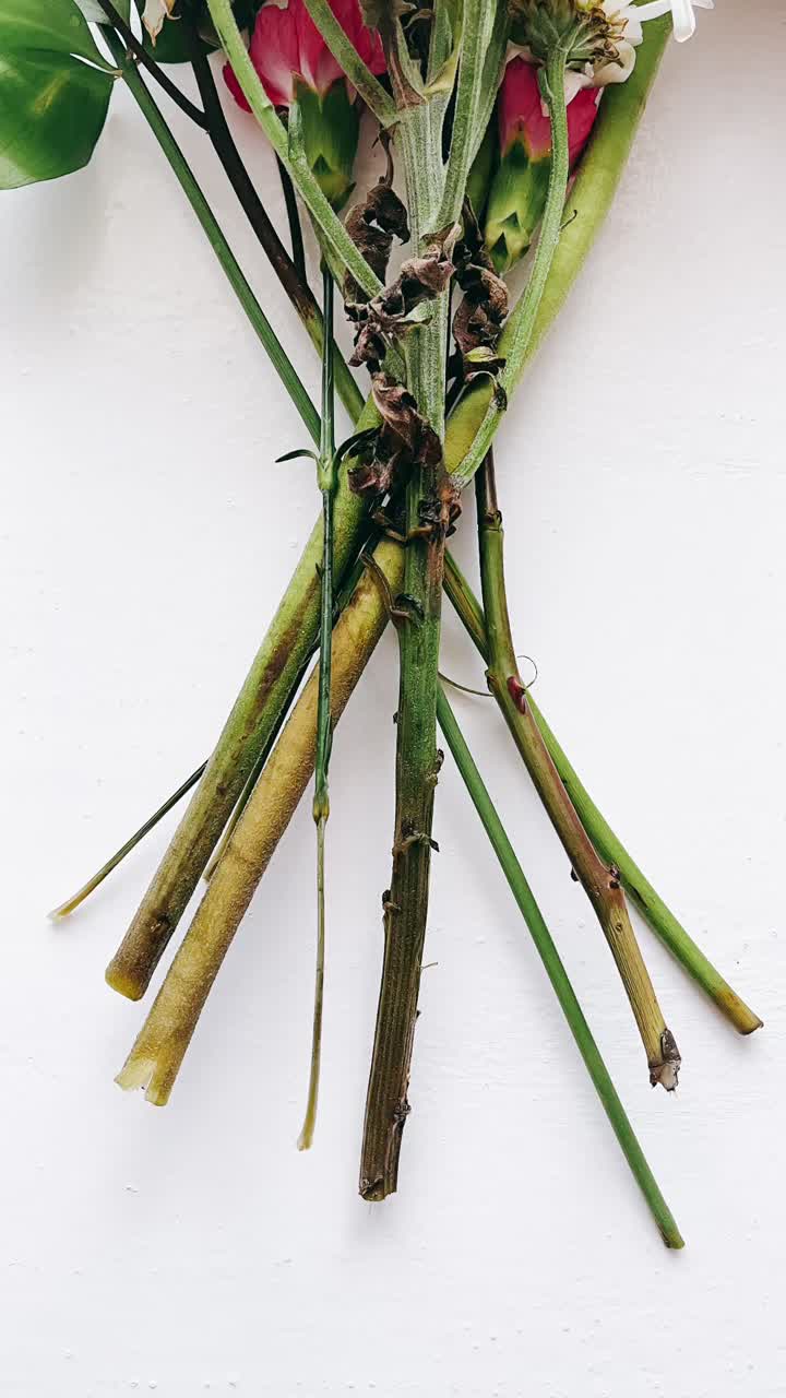 Close-up view of flower stems