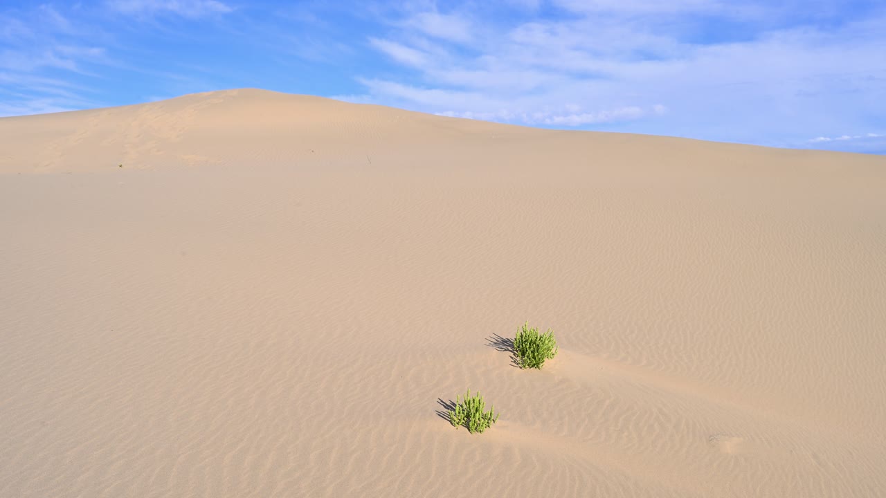 Sand Dune Landscape