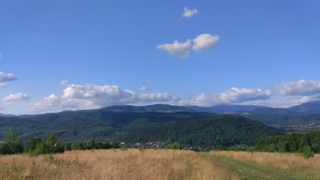 summer carpathians