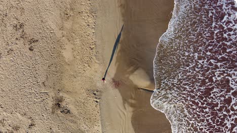 Persona-Solitaria-Caminando-En-Una-Playa-De-Arena-Vacía,-Olas-Del-Mar,-Naturaleza-Aérea-De-Arriba-Hacia-Abajo