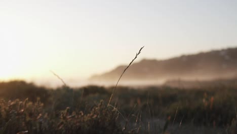 Tiro-De-Muñeca-En-Cámara-Lenta-De-Las-Dunas-En-La-Playa-Con-Plantas-Que-Soplan-En-El-Viento,-La-Arena-Y-Las-Colinas-Con-Niebla-En-El-Fondo-Durante-Una-Puesta-De-Sol