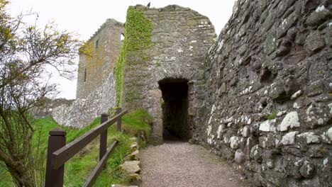 entrance to a old stone ruined building, surrounded by vegetation and birds flying on a cloudy day