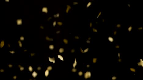 Confetti-exploding-on-black-background.-Real-time-speed