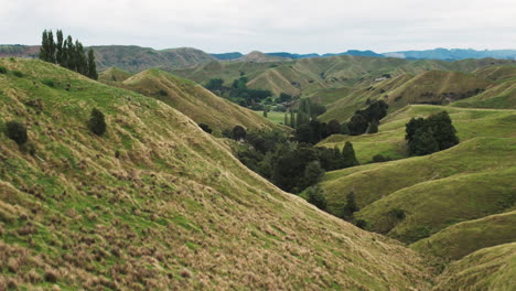 Picturesque-rolling-green-hills-and-farm-pasture,-landscape-of-New-Zealand