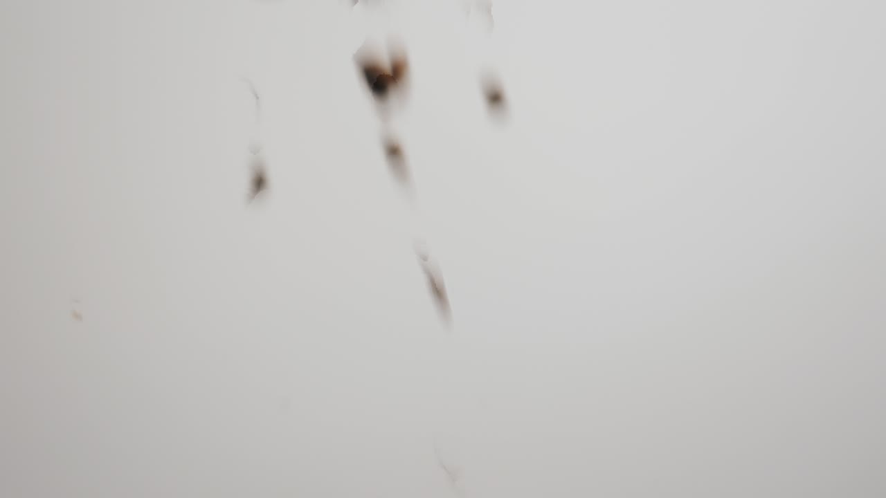 a cámara lenta regular, luego de nuevo a normal