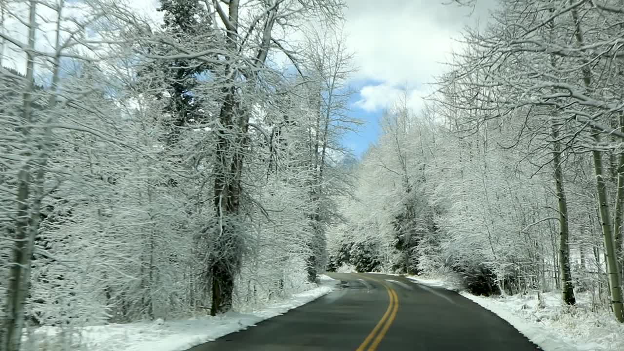 Slow motion video from the car perspective traveling down a snowy forest road in the middle of the winter season in Colorado