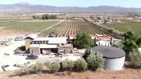 vista aérea de un bistró cerca de un viñedo en méxico