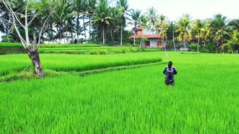 Young-beautiful-woman-standing-in-paddy-field-with-map-admiring-the-view-in-the-remote-location-of-Indonesia