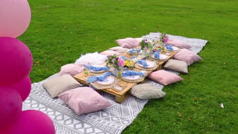 cute outdoor picnic for children pink and blue colors comfortable pillows in nature park grass revealing wide shot slow motion