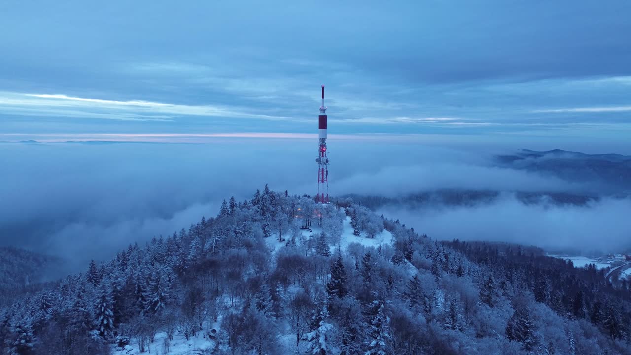 Drone footage of Antea’s serene winter forest, showcasing snow-covered trees and a tranquil landscape.