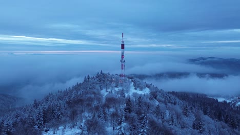 drone footage of antea’s serene winter forest, showcasing snow-covered trees and a tranquil landscape.