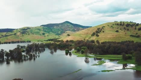 Rising-drone-footage-of-the-swollen-floodplains-of-the-Mitta-Mitta-River-near-where-it-enters-Lake-Hume,-in-north-east-Victoria,-Australia