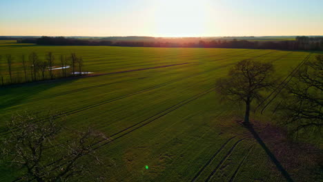 aerial view backwards over a trees in middle of rural farmlands, spring sunrise