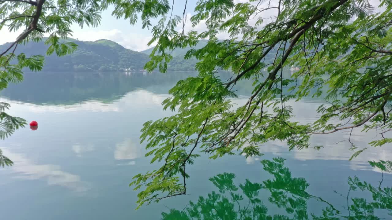 Overhanging leafy branches mirrored in clear calm lake water, distant hills, sky reflection, peaceful scene, nature view, tranquil waterside, summer landscape, England