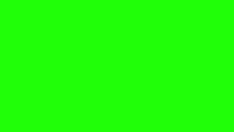 Green-screen-plane-flying-and-deflecting