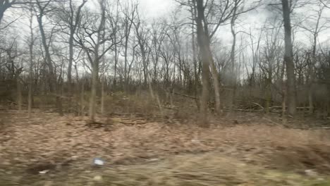 looking out a window of a forest preserve while in a car behind a window