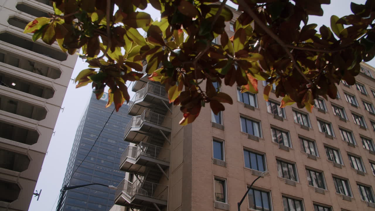 City Building Exterior