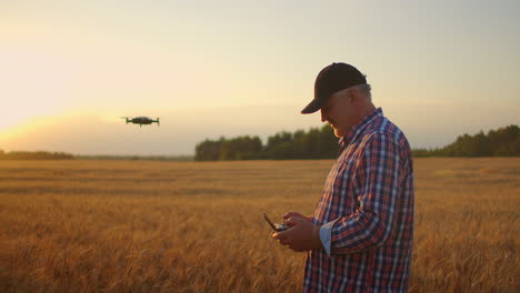 un agricultor anciano con una gorra conduce un avión no tripulado sobre un campo de trigo al atardecer. un viejo agricultor utiliza un avión no tripulado en la agricultura