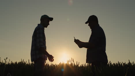 two successful energetic farmers shake hands, stand in a wheat field. successful deal concept