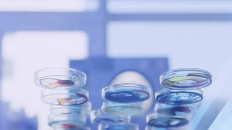 low angle of laboratory scientist placing