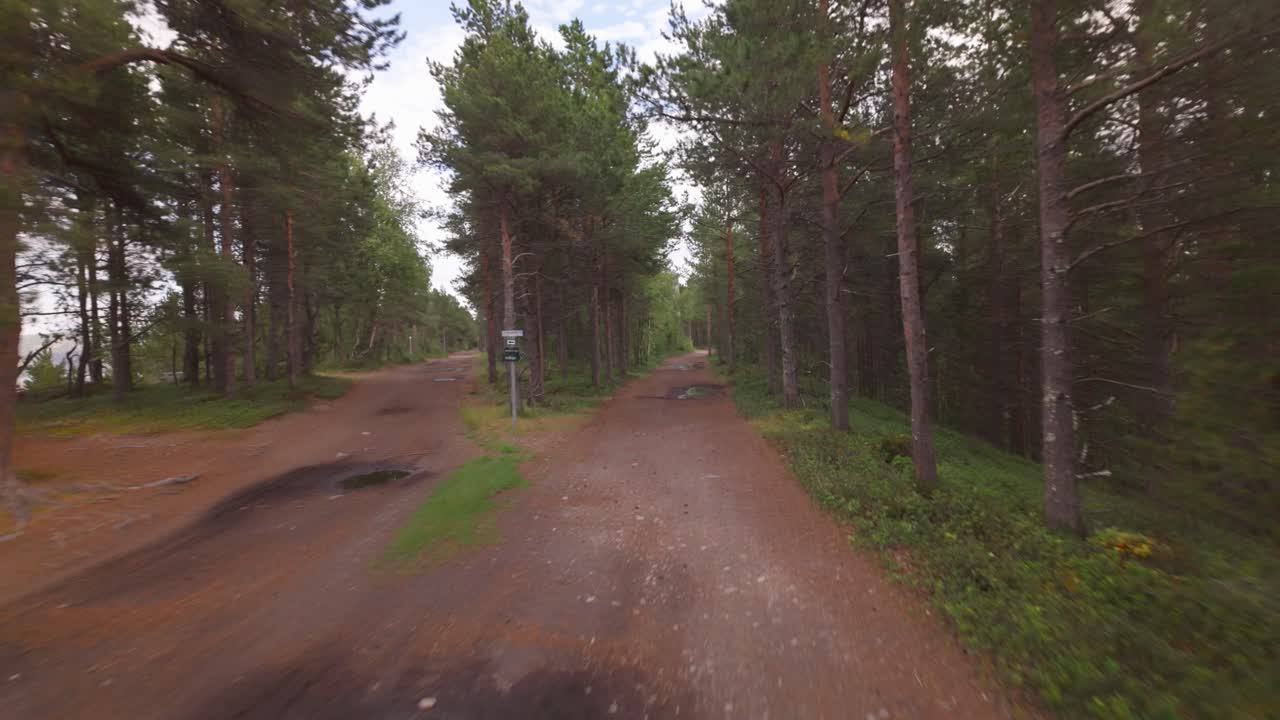 POV: Bevægelse fremad på en grusvej gennem en fyrreskov
