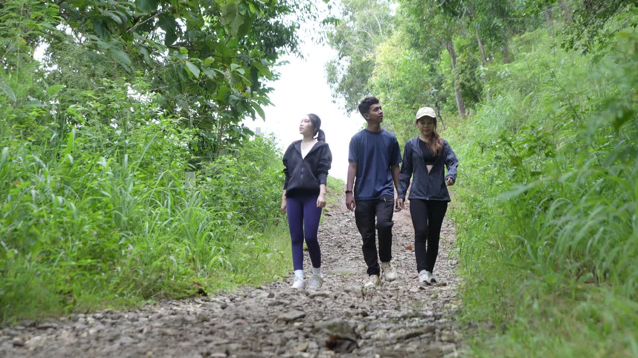 Group Hiking in Forest