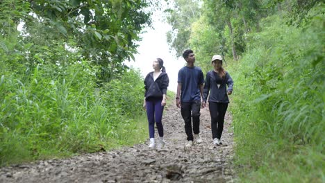 group hiking in forest