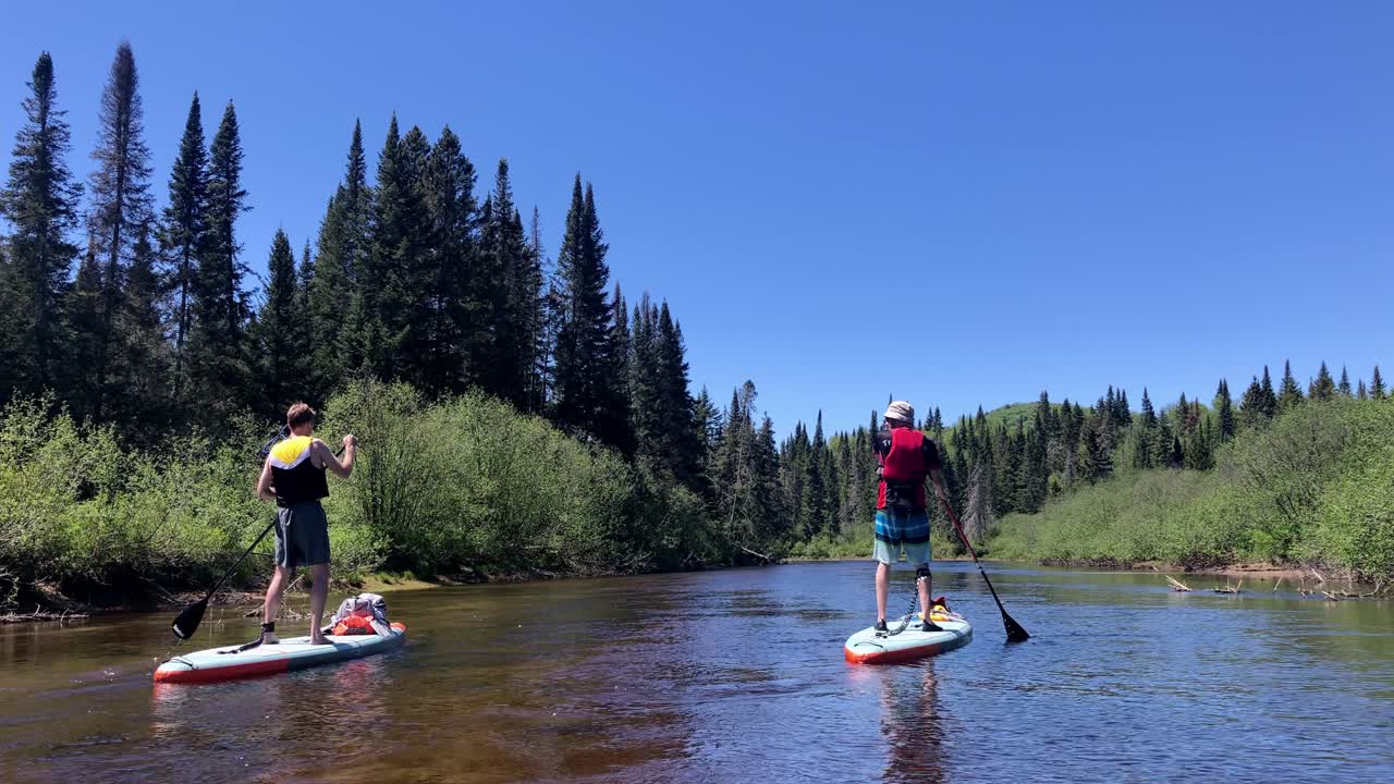 잔잔하고 밝은 푸른 날에 강을 따라 표류하는 평온함을 즐기는 두 명의 패들 보더