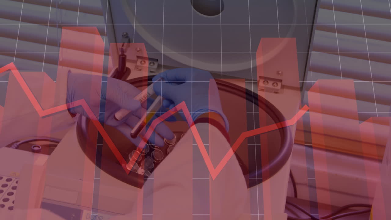 animación de diagramas flotantes sobre una doctora biracial con guantes médicos