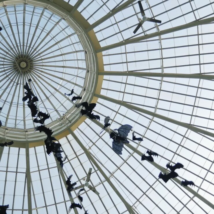 Uma Grande Cúpula de Vidro Com Decoração em Forma de Morcegos