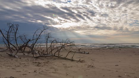 Hermoso-Lapso-De-Tiempo-De-Nubes-En-Rápido-Movimiento-Sobre-La-Costa-Del-Mar-Báltico,-Sol-Brillando-A-Través-De-Las-Nubes,-Tarde-Antes-De-La-Puesta-Del-Sol,-Paisaje-Natural-En-Movimiento,-Playa-De-Arena-Blanca,-árbol-Viejo,-Plano-General