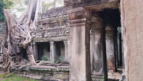 Freilegung-Von-Tempel--Und-Baumwurzeln-In-Der-Wand