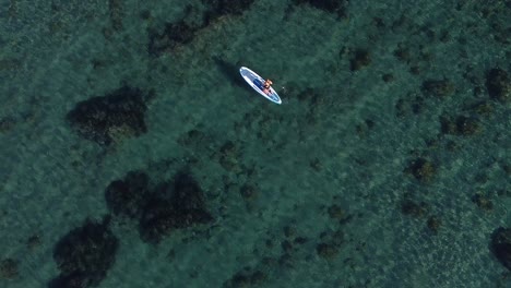 vista de pájaro de una persona remando en aguas tropicales claras