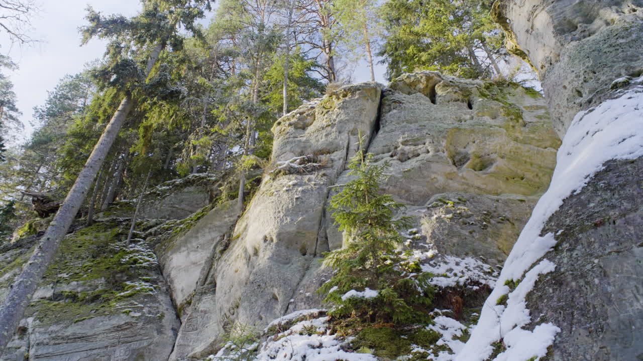 1월의 라트비아 비제메